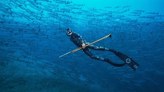 Spearfishing In A David Attenborough Documentary