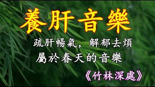 五音療疾丨疏肝暢氣，解鬱去煩，屬於春天的音樂《竹林深處》！