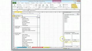 Tutorial for Pivot Table C3--Top Customer