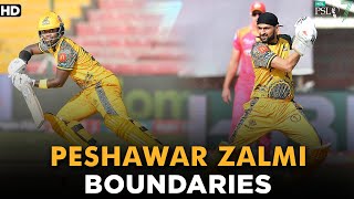 Peshawar Zalmi Boundaries | Peshawar Zalmi vs Islamabad United | Match 5 | HBL PSL 7 | ML2G