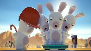 Rabbids Invasion - Rabbid diet