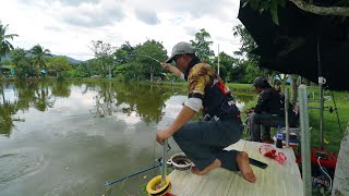 เริ่มต้นตกชิงหลิว ลองตกปลาขายในบ่อเหมา จะรวยหรือร่วง P.NU FISHING