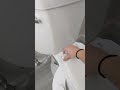 how to install a bidet 4