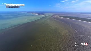 Red Tide Blooms developing in the Gulf of Mexico