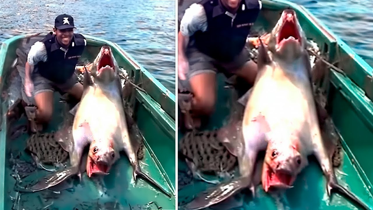 Fishing Anomalies Captured That No One Believed To Have Existed Fishing