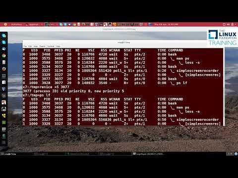 How do I use renice command on Mac?