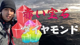 【＃茨城県アカムツ釣り】深海の赤いダイヤ釣る！　#japanfishing