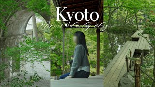 [Kyoto Vlog] Between spring and early summer | Tenjuan's green leaves | Freshly fried donuts store