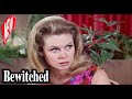 Bewitched 2024 ||  Art for Sam's Sake || Comedy American Sitcom [NEW]