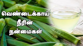 ஊற வைத்த வெண்டைக்காய் நீரின் நன்மைகள் | ladies finger water | Health benefits of drinking okra water