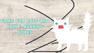 Game for Cats and Cats | running ropes #Shorts