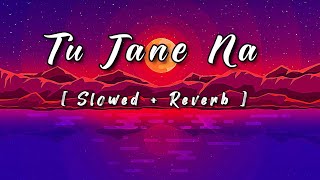 Tu Jane Na - [ Slowed + Reverb ] #lofilyrics #song