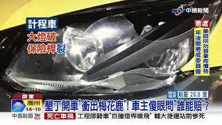 墾丁開車\