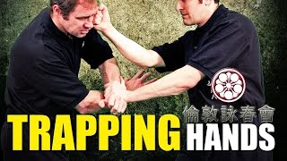 Is Wing Chun Trapping REALLY Useless?