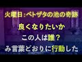 聖書の学び4期「ヨハネによる福音書の主題」第１課