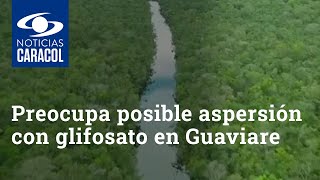 Preocupa posible aspersión con glifosato en Guaviare: “los químicos cayeron en los grandes ríos”