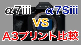 118 SONY α7Siiiとα7iiiのA3プリントを比較したらまさかの結果に！？