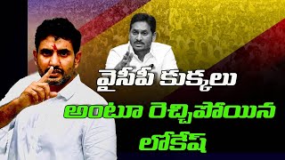 వైసీపీ కుక్కలు అంటూ రెచ్చిపోయిన లోకేష్ | Nara Lokesh Comments On YCP | R24 Telugu