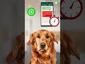 Send scheduled messages in Whatsapp