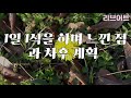 먹고 싶은거 다 먹는데 살이 빠지는 이유 식단 운동없이 다이어트