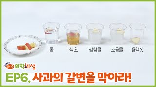 퀴즈! 사과의 갈변을 막는 가장 좋은 방법은?🍎🤔