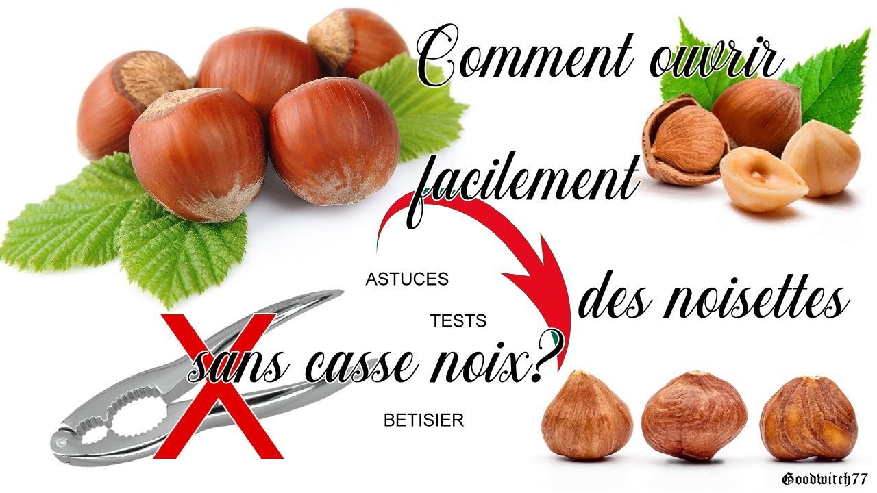 Comment Ouvrir Facilement Des Noisettes? Tests Astuces + Bêtisier. How ...