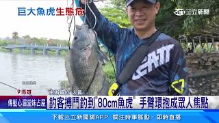 蓮池潭釣到巨大魚虎 長80cm重6.17kg釣客嗨｜94要賺錢