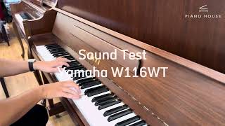 [Seri trên 4 triệu] Sound Test Yamaha W116WT - phiên bản gỗ nhám rất hiếm tại VN