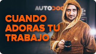 A toda marcha: ¡te espera el recorrido por los garajes de AUTODOC!