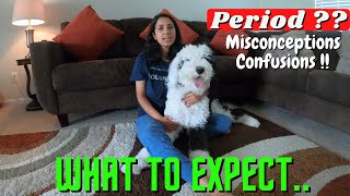 Dog's Period | MOMO, our 9 months old Puppy | Nepali vlogger in USA | Nepali in America