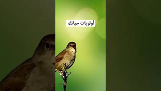 أولويات فى الحياه