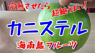 【カニステル】こんなに甘くて美味しいのに何故不人気なの？それは追熟が足りないのです！