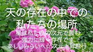 天の存在の中での私たちの場所：星は私たちの次元で最も強力に輝く存在です、彼らは暖かさを提供し、私たちを喜びで満たすことができます✨💕自分の可能性を信じて星のように輝く、楽しいみらいへ☆次元上昇飛行の旅