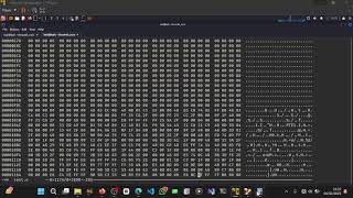 Modifying Function Calls in a Binary Using Hex Editing | Reverse Engineering Tutorial