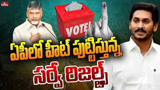 ఏపీలో హీట్ పుట్టిస్తున్న సర్వే రిజల్ట్స్ | Survey Results Create Political Heat in AP | hmtv