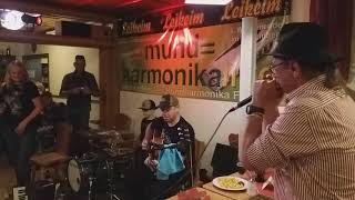 mundharmonikalive 2019 - Petra Börnerova Trio \u0026 Charlie Slavík 2 - Klingenthal 18.09.19