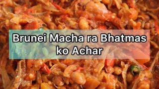 Brunei Macha ra Bhatmas ko Achar || Pokhara