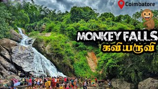 MONKEY FALLS 🐒| கவியருவி  | Tourist places in Pollachi | Coimbatore Vlog