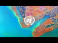 We Joined The UN Global Compact (combined video)