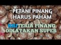 Syarat (Kriteria) pinang dikatakan super