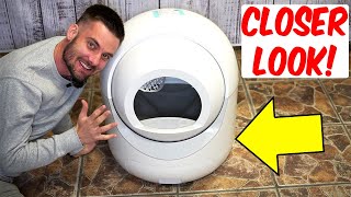 Cleanpethome Self Cleaning Cat Litter Box Review (Link Below 👇)