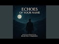 ECHOES OF YOUR NAME