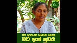 මං තුන්පාරයි බෙහෙත් ගත්තේ | මට දැන් සුවයි | DiwyaShakthi WedaMadura