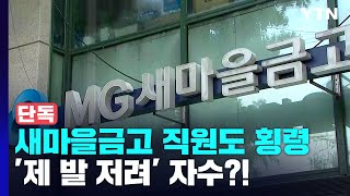 [단독] 이번엔 새마을금고 직원이 '40억 횡령'...돌려막기하다 \