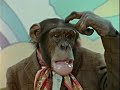 lancelot link secret chimp e02 the lone ape missile beach party