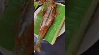 கடல் பாறை மீன் வறுவல் பொடியுடன் 🙏#paraimeen #meen #fish #akkakadai