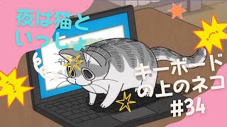 第34夜『キーボードの上のネコ』【アニメ】【漫画】（高画質）#夜は猫といっしょ #アニメ  #猫 #cat