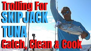 Trolling For SKIPJACK TUNA Catch Clean & Cook Deep Sea Tuna Fishing