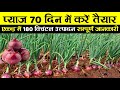 Pyaj ki kheti | प्याज की खेती संपूर्ण जानकारी | Pyaj ki kheti kaise karen | Onion farming in India