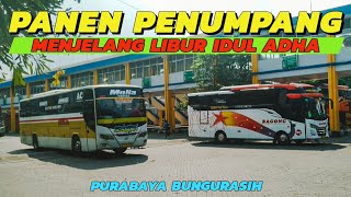 SUDAH PENUH PENUMPANG Keberangkatan Siang Terminal Purabaya Bungurasih